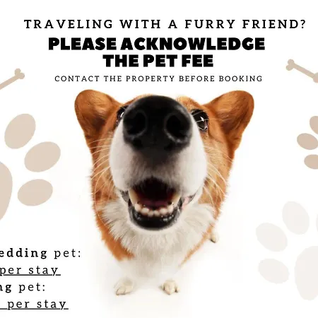 Wonderful - Free Parking - Cabo Ruivo 34636al Appartement *